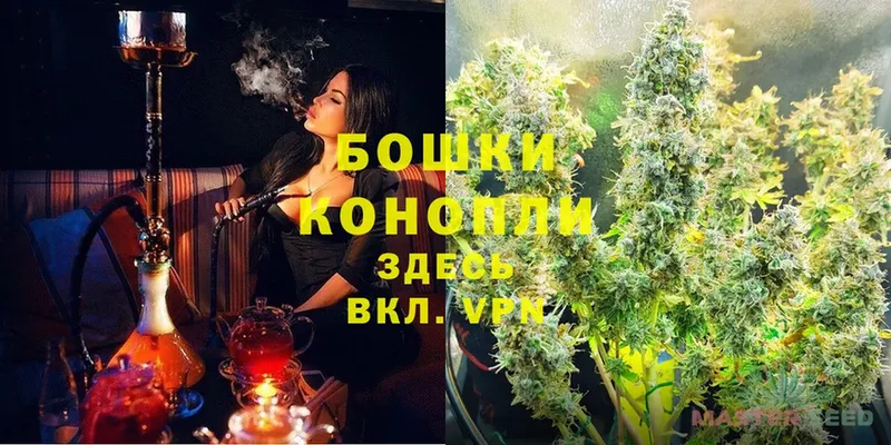 МАРИХУАНА OG Kush  Дмитриев 